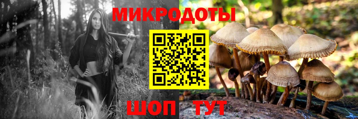 Галлюциногенные грибы GOLDEN TEACHER Владивосток